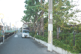 直進すると右手に公園が見えてきます。若菱公園という休日は子供がワイワイ賑やかにしている公園です。